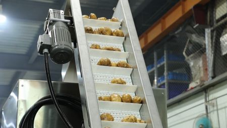 3.  Feeding Conveyor for Peeling M/C